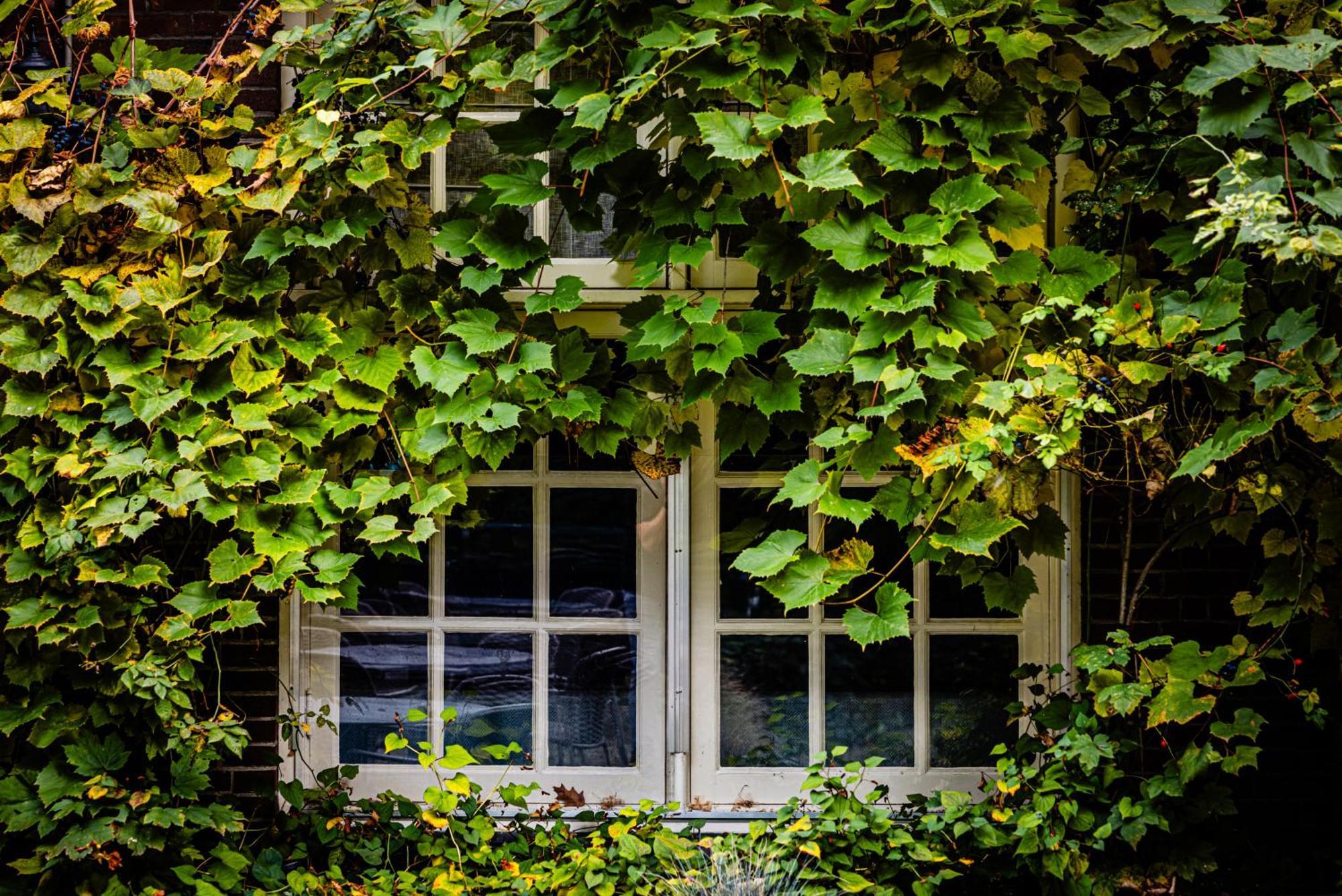 Kasteel Kerckebosch Zeist Exterior foto